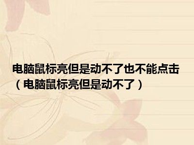 电脑鼠标亮但是动不了也不能点击（电脑鼠标亮但是动不了）