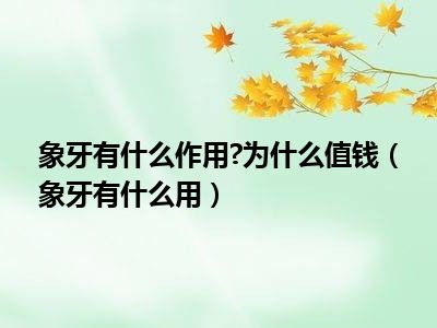 象牙有什么作用?为什么值钱（象牙有什么用）