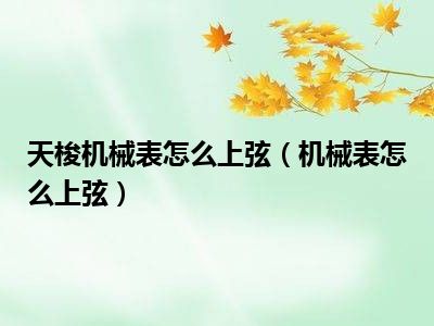 天梭机械表怎么上弦（机械表怎么上弦）