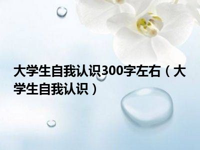 大学生自我认识300字左右（大学生自我认识）