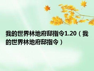 我的世界林地府邸指令1.20（我的世界林地府邸指令）