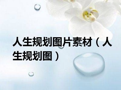 人生规划图片素材（人生规划图）