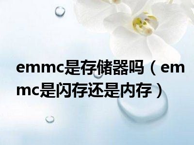 emmc是存储器吗（emmc是闪存还是内存）