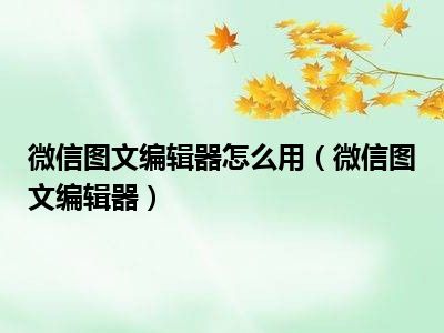 微信图文编辑器怎么用（微信图文编辑器）