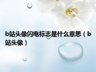 b站头像闪电标志是什么意思（b站头像）