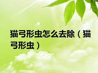 猫弓形虫怎么去除（猫弓形虫）