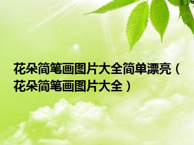 花朵简笔画图片大全简单漂亮（花朵简笔画图片大全）