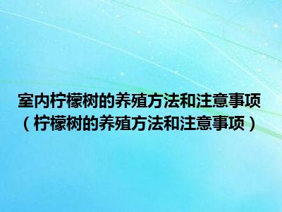 室内柠檬树的养殖方法和注意事项（柠檬树的养殖方法和注意事项）