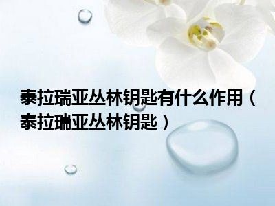 泰拉瑞亚丛林钥匙有什么作用（泰拉瑞亚丛林钥匙）