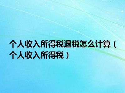 个人收入所得税退税怎么计算（个人收入所得税）