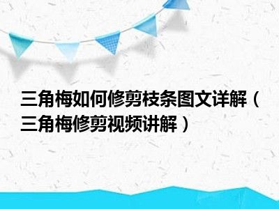 三角梅如何修剪枝条图文详解（三角梅修剪视频讲解）