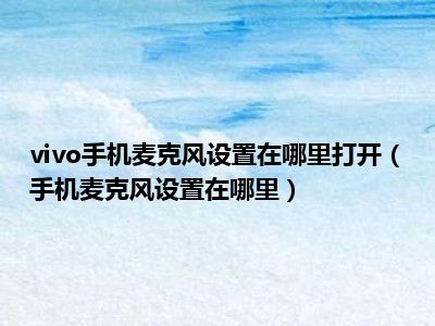 vivo手机麦克风设置在哪里打开（手机麦克风设置在哪里）