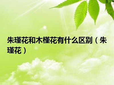 朱瑾花和木槿花有什么区别（朱瑾花）