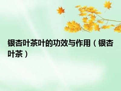 银杏叶茶叶的功效与作用（银杏叶茶）