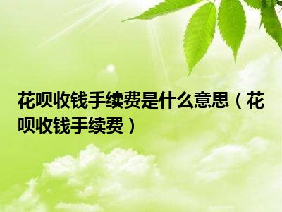 花呗收钱手续费是什么意思（花呗收钱手续费）