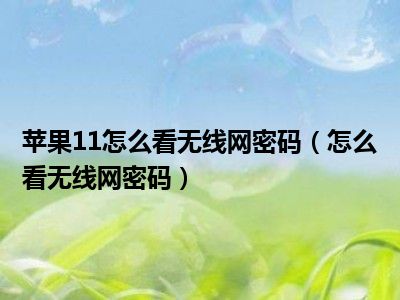 苹果11怎么看无线网密码（怎么看无线网密码）