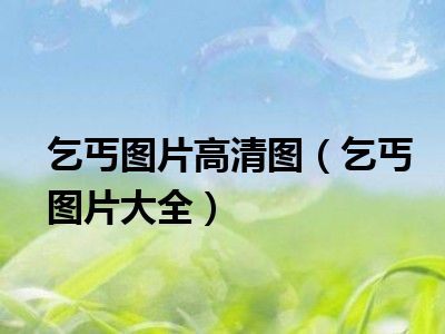乞丐图片高清图（乞丐图片大全）