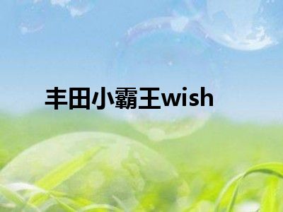 丰田小霸王wish