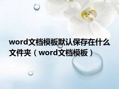 word文档模板默认保存在什么文件夹（word文档模板）