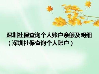深圳社保查询个人账户余额及明细（深圳社保查询个人账户）