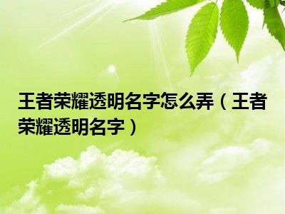 王者荣耀透明名字怎么弄（王者荣耀透明名字）