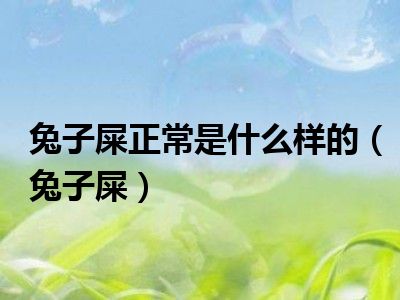 兔子屎正常是什么样的（兔子屎）