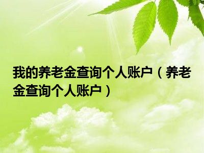 我的养老金查询个人账户（养老金查询个人账户）
