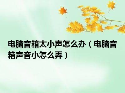 电脑音箱太小声怎么办（电脑音箱声音小怎么弄）