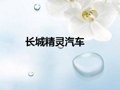 长城精灵汽车
