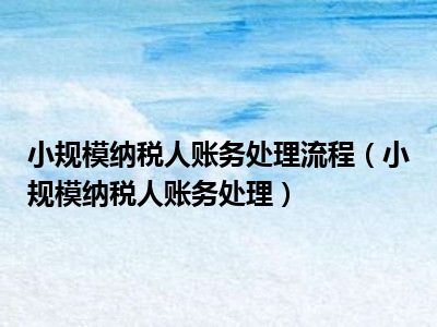 小规模纳税人账务处理流程（小规模纳税人账务处理）