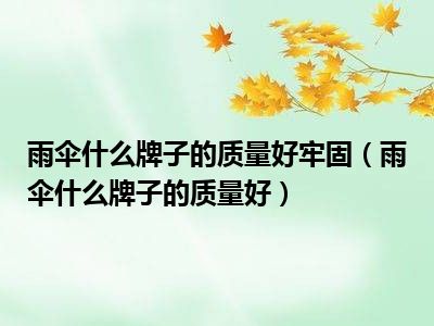 雨伞什么牌子的质量好牢固（雨伞什么牌子的质量好）