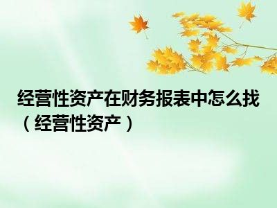 经营性资产在财务报表中怎么找（经营性资产）