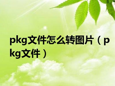 pkg文件怎么转图片（pkg文件）
