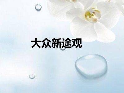 大众新途观
