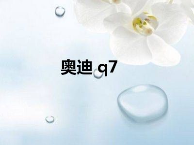 奥迪 q7