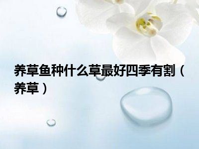 养草鱼种什么草最好四季有割（养草）