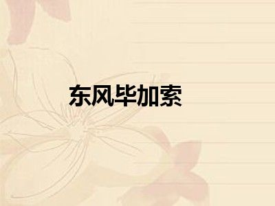 东风毕加索