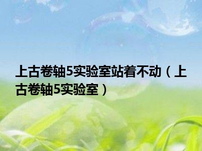 上古卷轴5实验室站着不动（上古卷轴5实验室）
