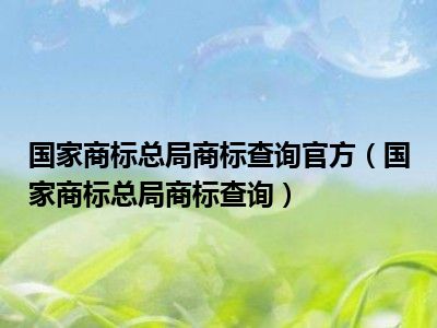 国家商标总局商标查询官方（国家商标总局商标查询）