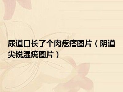 尿道口长了个肉疙瘩图片（阴道尖锐湿疣图片）