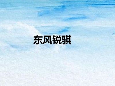 东风锐骐