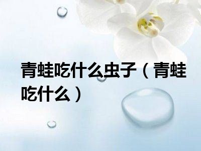 青蛙吃什么虫子（青蛙吃什么）