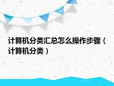 计算机分类汇总怎么操作步骤（计算机分类）