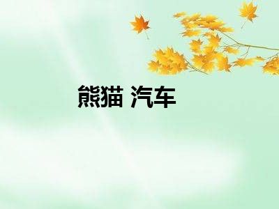 熊猫 汽车
