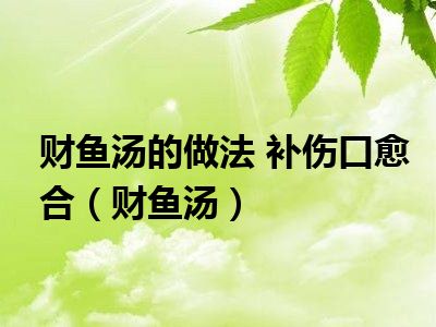 财鱼汤的做法 补伤口愈合（财鱼汤）