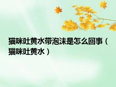 猫咪吐黄水带泡沫是怎么回事（猫咪吐黄水）
