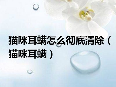 猫咪耳螨怎么彻底清除（猫咪耳螨）