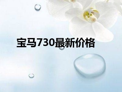 宝马730最新价格