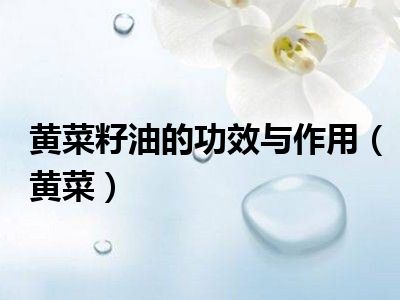 黄菜籽油的功效与作用（黄菜）