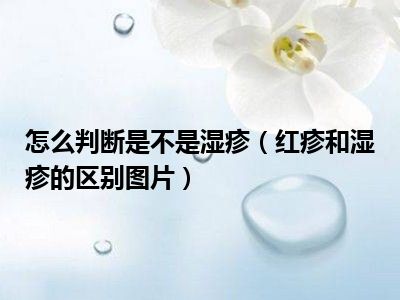 怎么判断是不是湿疹（红疹和湿疹的区别图片）